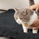 thumbnail image 5 of Caseta para perros y gatos, cojín cálido para otoño e invierno, cama para perros, caseta cómoda para gatos, suministros para mascotas, cojín de terciopelo para mascotas de pelo largo, linda almohadill, 5 of 6