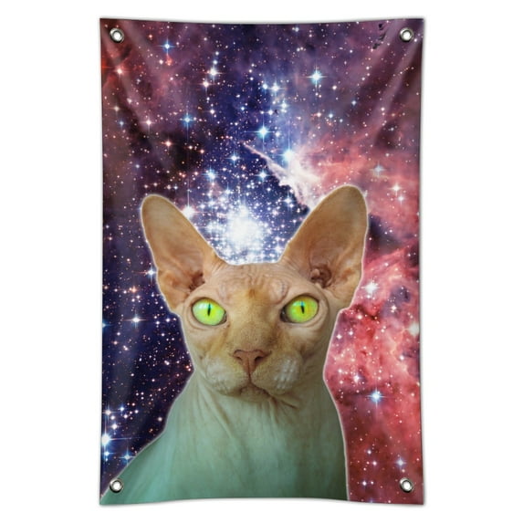 Sphynx Space Cat Home Business Office Sign