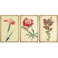 thumbnail image 3 of PixonSign Framed Wall Art Print Set Vintage Watercolor Peony Flower Variety Floral Wilderness Illustrations Modern Art Glam Colorful Cool for Living Room, Bedroom, Office - 16"x24"x3 Natural, 3 of 5
