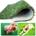 PE Simulated Lawn Artificial Grass Rug Indoor Outdoor Realistic
