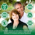 thumbnail image 6 of Zazzee DIM 300 mg – Supports Estrogen Metabolism & Hormonal Balance – Kosher, 6 of 11