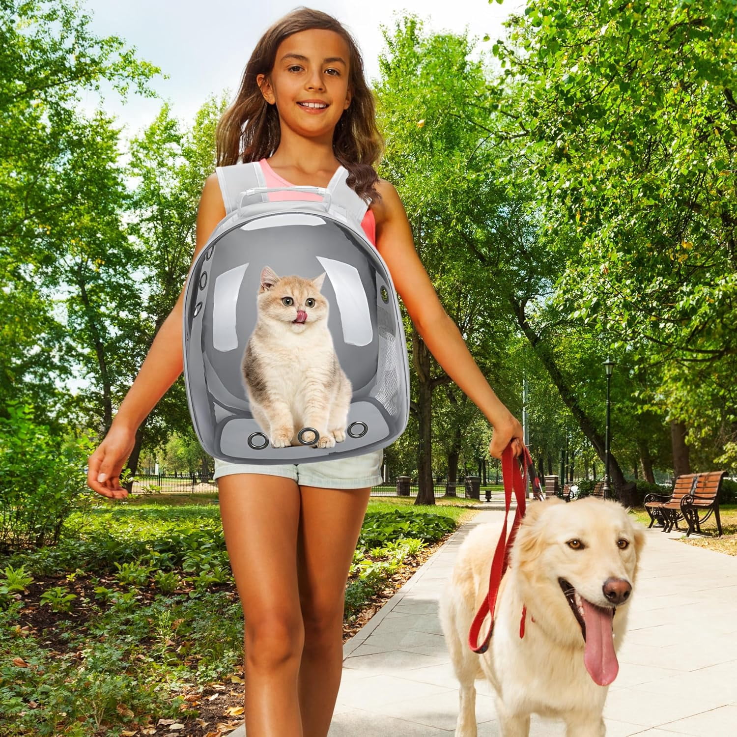 Airline-Approved Cat & Small Dog Backpack Carrier – Transparent Bubble Space Capsule Travel Bag for Hiking & Outdoor Use