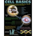 thumbnail image 4 of McDonald Publishing Cells Posters, Set of 4, 4 of 5
