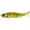 Pac-Man, variant on R2S S-Waver 200S3.325oz 8'' Rainbow Trout