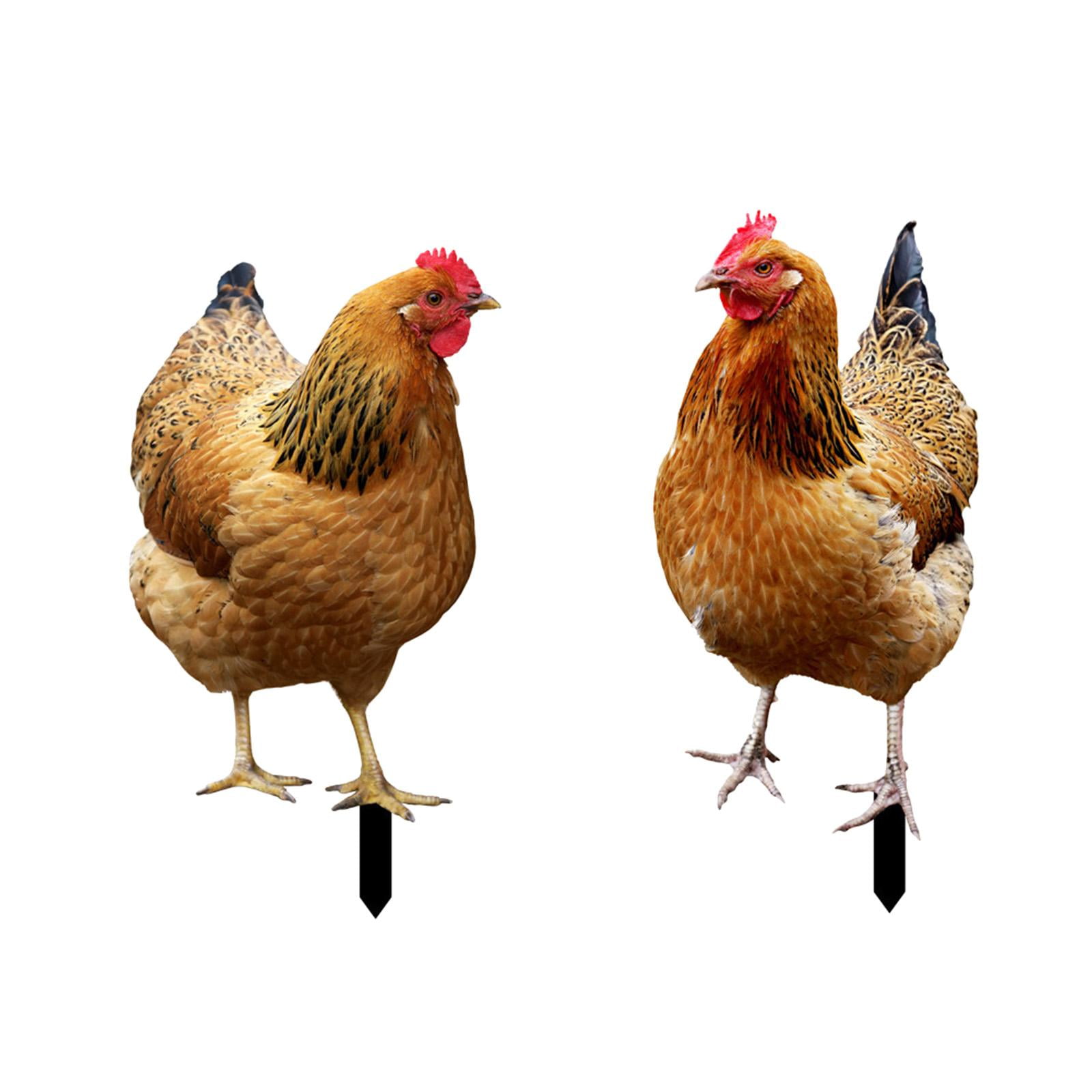 Kuntesetty 2 Pieces Hen Statue Garden Stakes Yard Art Ornaments Realistic Animal Sculptures