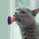 thumbnail image 2 of Catnip Cat Snacks Sugar Candy Licking Nutrition Gel Energy Ball Toy (atún) Hugtrwg Para estrenar, 2 of 8