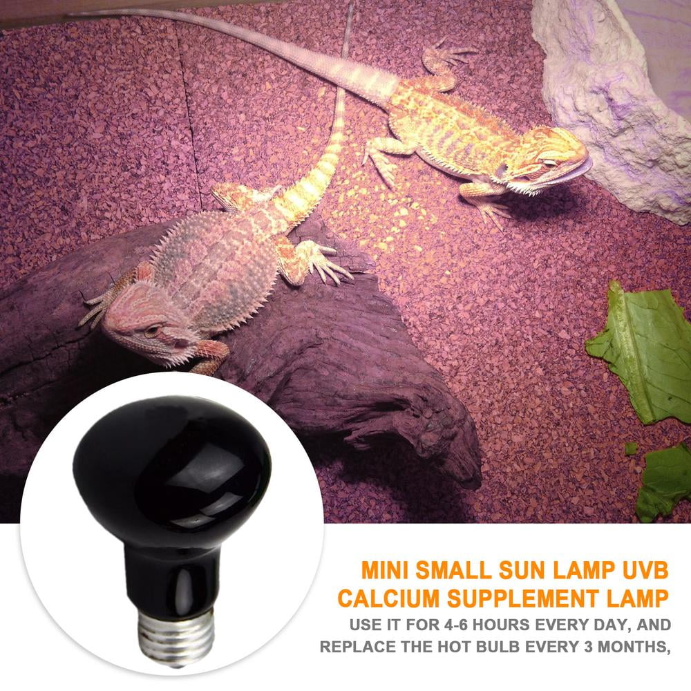 walmart reptile light
