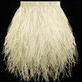thumbnail image 1 of Avestruz volador con ribete de plumas, 2 yardas, 13 a 18 cm, color beige, 1 of 7