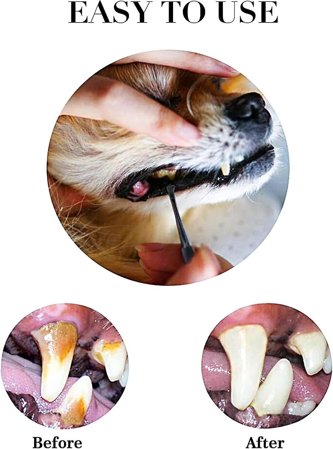 canine dental cleaning tools