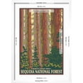 thumbnail image 5 of Art.com Sequoia National Forest, CA Redwood Trees Art Print by Lantern Press, White Frame Wall Art, 17" x 23", 5 of 5