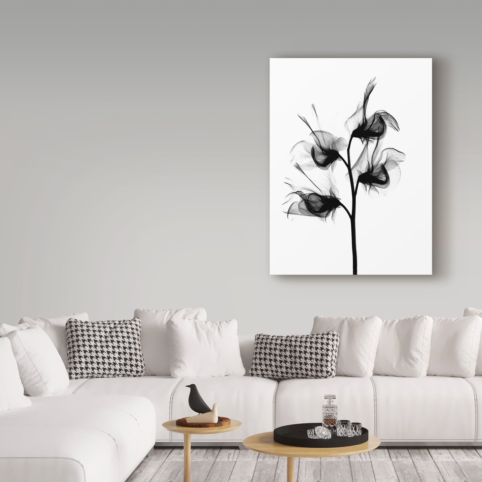 Trademark Fine Art 'Sweet Pea X Ray' Canvas Art by Bert Myers