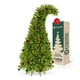 thumbnail image 1 of Árbol Navidad Pino Navideño Gorro de Santa Esquimal Verde 1.8m + 61 Esferas, 1 of 6