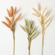 28"H Sullivans Fall Dried Okra Stem - Set of 3, Multicolored