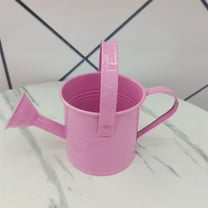 HEMOTON Kids Metal Watering Can Small Galvanized Iron Tin Sprinkling Kettle for Garden Yard Plants Flower Pots 1 Set