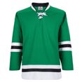 thumbnail image 3 of Camisetas de práctica del equipo de la Liga Nacional de Hockey en blanco de la serie H900: tela de poliéster transpirable gruesa de alta calidad - Junior y Senior, 3 of 5