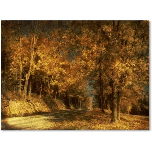 Trademark Fine Art "Back Roads" Canvas Art by Lois Bryan