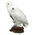 thumbnail image 3 of Ebros Mystical Two White Snowy Owl Couple Perching On Tree Branch Statue 12.25"Tall, 3 of 7