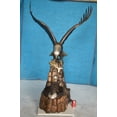 thumbnail image 3 of Nifao Eagle with nest Bronze Statue – Garden Outdoor Decor Sculpture, 36"L x 40"W x 63"H, 3 of 11