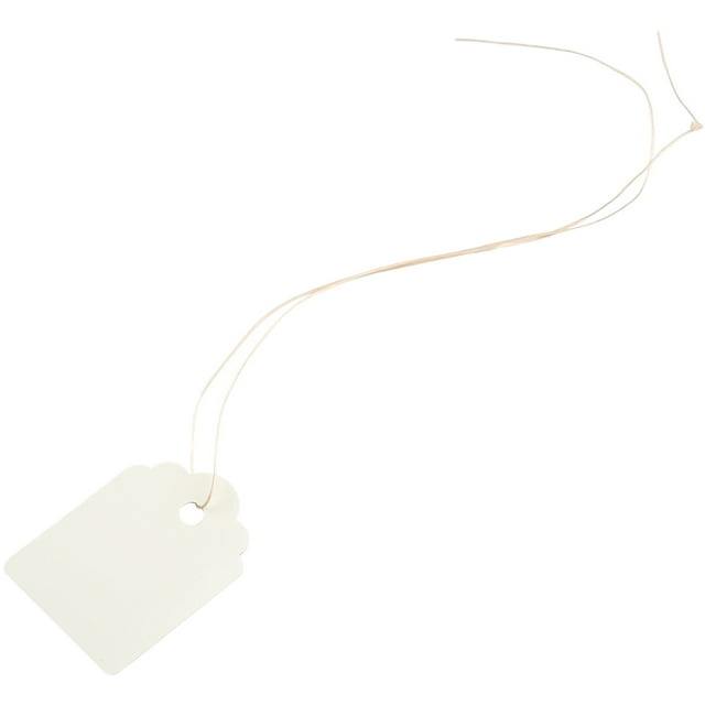 100Pcs Multi Colors Waterproof Plastic Label Sign Gardening Plant Hanging Tags White Shenzhuyue
