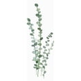 thumbnail image 3 of Isabelle Z 9x18 Black Modern Framed Museum Art Print Titled - Fresh Eucalyptus, 3 of 5