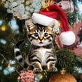 thumbnail image 7 of CuiLiyq Grey Tabby Cat Christmas Ornament, Lovable Acrylic Tabby Cat Ornament, for Christmas Tree Tabby Cats Christmas Decor Indoor Car Mirror, 7 of 7