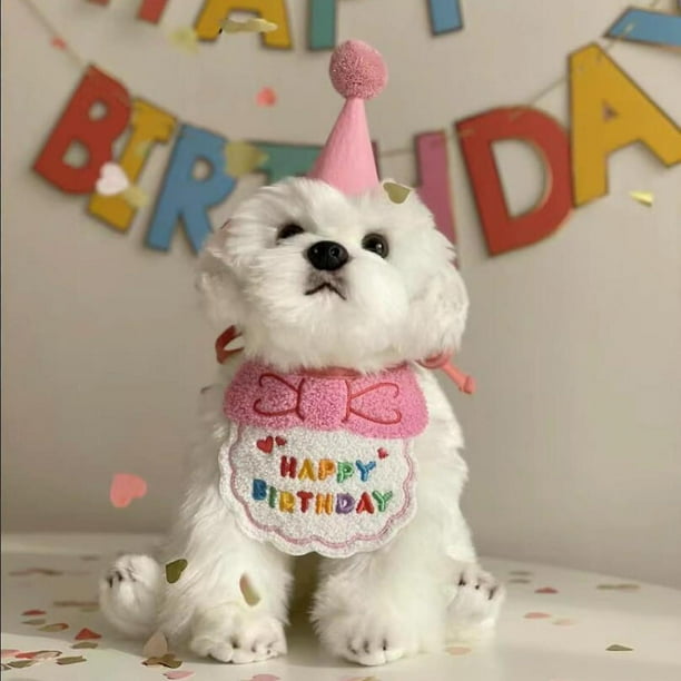 Pink Cat Birthday Outfit Puppy Birthday Bib Small Dog Birthday Party Hat Dog Birthday Bandana Pet Birthday Accessories Pink GET IT G Need