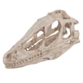 thumbnail image 2 of Resin  Dinosaur Skull Model Teaching Prop Desktop Decor Craft for Dinosaur Enthusiasts Home Office, 2 of 7