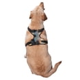 thumbnail image 2 of Vsdgher Cloud Border Collie Pattern Dog Harness,No Pull Pet Harness with Soft Padded Handle,Adjustable Reflective Vest with 2 Buckles,4 Slide Buckles,S-XL Medium, 2 of 4