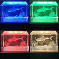 thumbnail image 5 of 3D Crystal Statues Jewelry LED Display Base Rectangle Color Changing Display Stand for Glass Art Crystal Display silver, 5 of 5