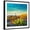 Black Frame, variant on Art.com Picturesque, Serene Sunset in Saguaro National Park - Sonoran Desert - American Southwest. Stretched Canvas Print Wall Art by Katrina Leigh, 16" x 16"