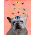 thumbnail image 2 of Fab Funky 15x18 White Modern Wood Framed Museum Art Print Titled - White French Bulldog and Butterflies, 2 of 4