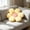 Yellow, variant on Sunflower Flower Floor Pillow,Super Soft Plush Daisy,Soft Comfortable Plush Sunflower Seat,Cute Home Decoration Kids Girls Women Gifts 15.7x15.7x2 In