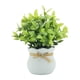 thumbnail image 1 of Pequeñas plantas artificiales, bonsáis artificiales, decoración de mesa, centro de mesa, Blanco, 1 of 9
