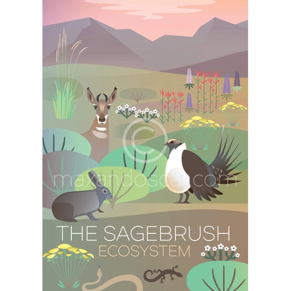 THE SAGEBRUSH ECO SYSTEM PRINT