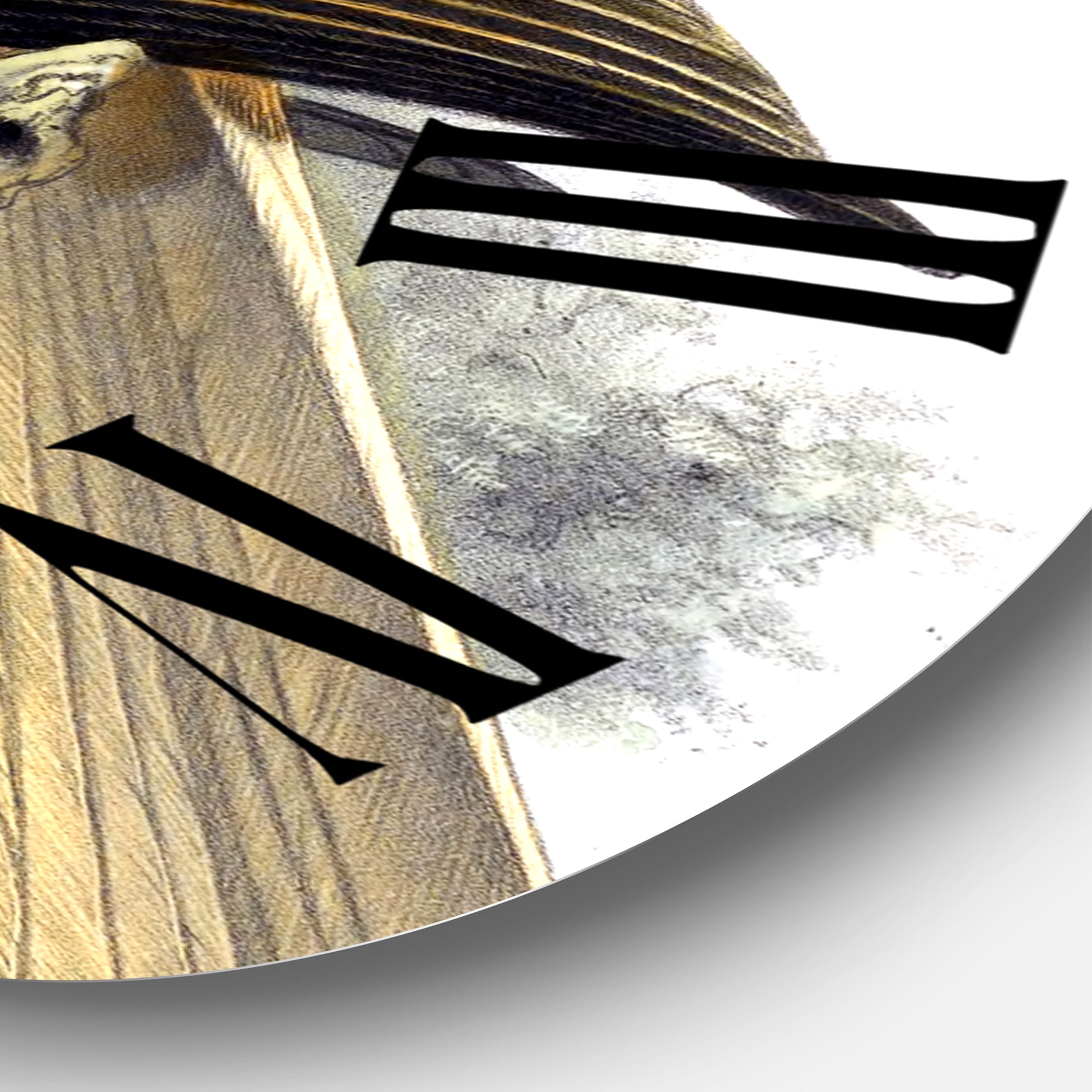 Designart 1 in Quartz Traditional Wall Clock