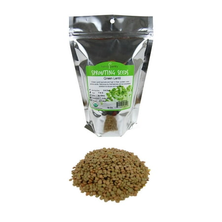 Organic Dried Green Lentil Sprouting Seed: 1 Lb - Dry Lentils for Planting Garden Seeds, Soup, Cooking or Sprout Salad,