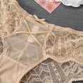 thumbnail image 5 of Sexy Lady Transparent Underwear Women Floral Lace Briefs Seamless Hollow Out Panties, 5 of 7