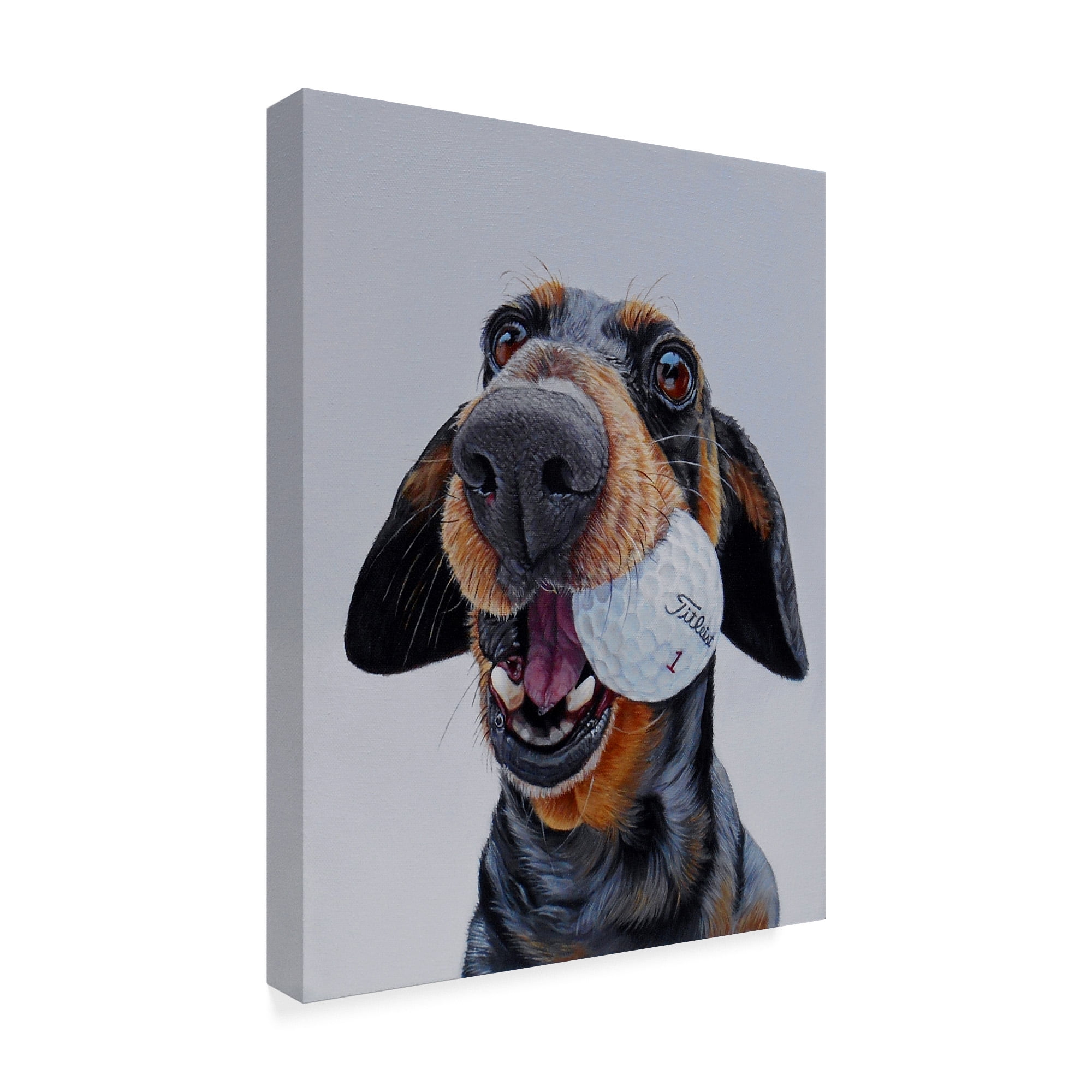 Trademark Fine Art 'Titleist 1' Canvas Art by James Ruby