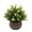 G, variant on Artificial Plants In Indoor Pots, Ongmies Mini Plastic Faux Plants, Small Artificial Potted Plants, Greenery In Hemispherical Pots for Table & Home Decor