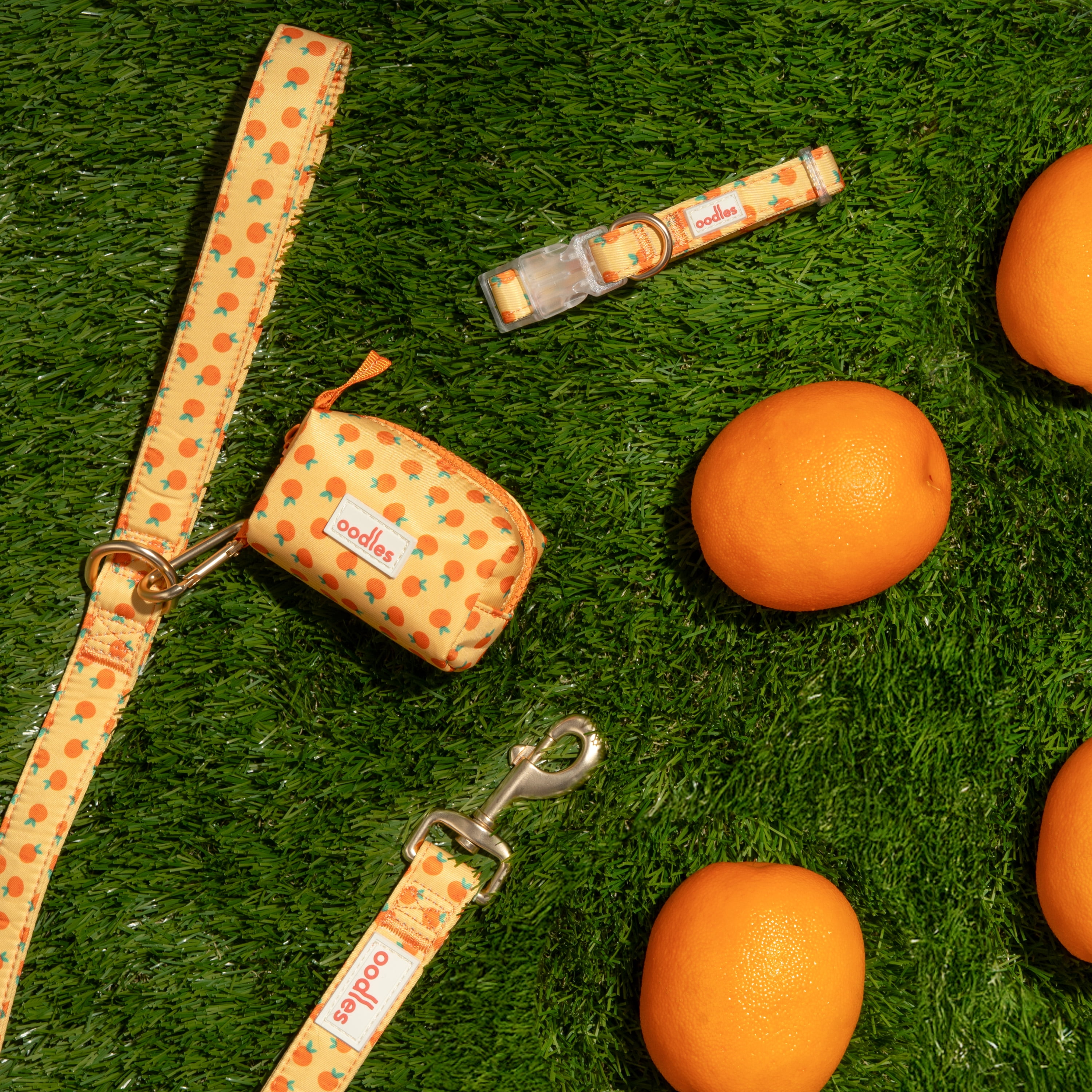 Oodles Sweet Citrus Dog Walking 3 Piece Set, Large