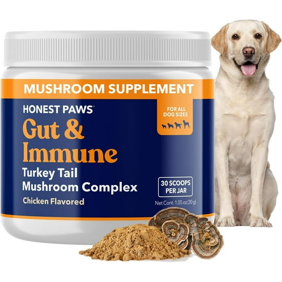 Honest Paws Dog Digestive and Immunity Supplement, Mushroom Extract Formula for Dogs, Turkey Tail Flavor, 1.05 oz