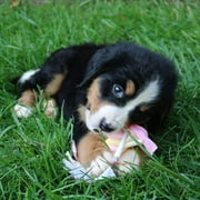 Original Snuggle Puppy Starter Kit for Anxiety Relief and Calming Aid, Biscuit Coloured Puppy Included and Pink Toy