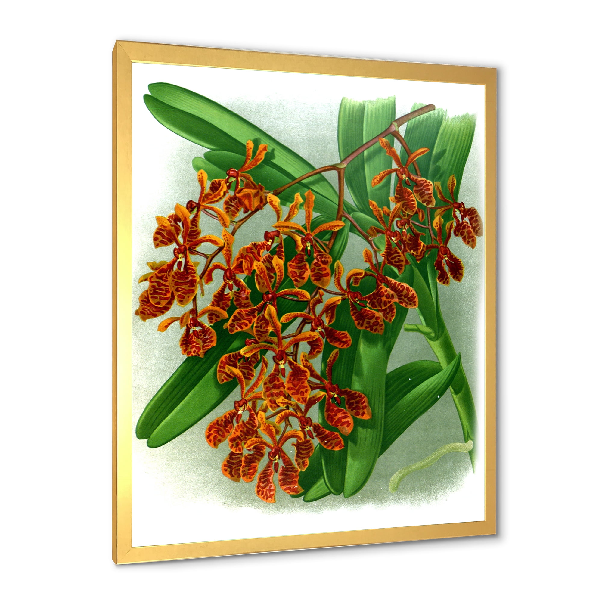 Designart 'Flowers Retro II' Farmhouse Framed Art Print