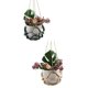 thumbnail image 2 of Cesta Colgante para Macetas, Cesta para Exteriores, Estante para Plantas de Exterior, Estante de Pared de Sintético, Estante para Macetas, Cesta para Plantas C, 2 of 5