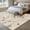 Light Beige Light Green Light Brown, variant on Area Rug for Living Room, Sparrow Non-Slip Indoor Large Carpet for Bedroom/Dining Room, Spring Birds on The Branches Vintage Country Washable Low-Profile Rectangle Floor Mat Runner Rugs - 3 x 5 Ft