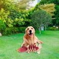 thumbnail image 3 of Juguetes para perros chirriantes Colco resistente a mordeduras 330x200x90mm, 3 of 7