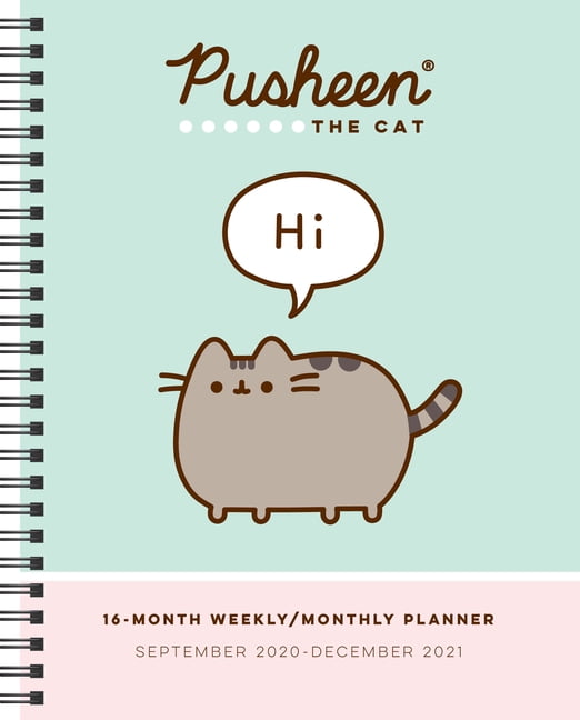 pusheen the cat 2019 calendar