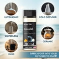 thumbnail image 5 of Scentia 5-Star Resort Inspired Fragrance Diffuser Oil Set – Premium Aromatherapy Oils (Miami One, W Bliss & Coastal), 20 ml Each, 3-Pack – Inspired by Luxury Hotel Stays, 5 of 6