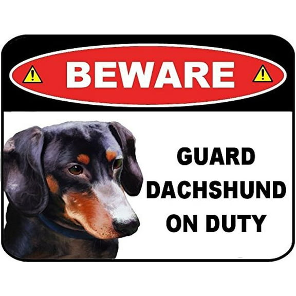 PCSCP Beware Guard Dachshund (Black) on Duty (v1) 9 inch x 11.5 inch Laminated Dog Sign