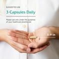 thumbnail image 5 of Vitanica VasoBlend, Cardiovascular Support, Vegan, 90 Capsules, 5 of 7